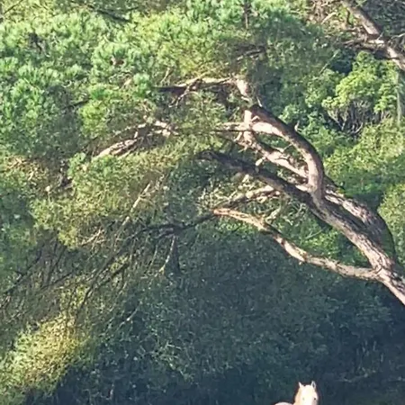 Casas Do Alpendre Casa de Férias *