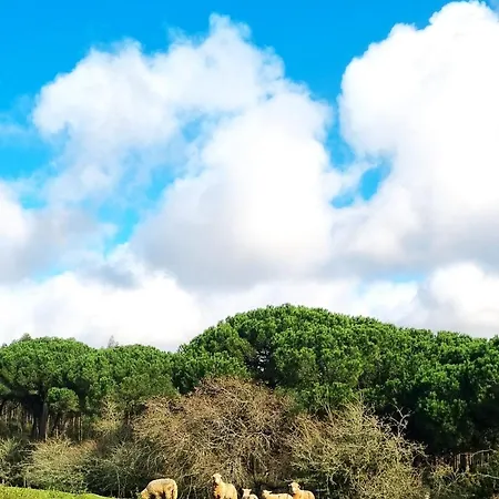 Casas Do Alpendre 奥比多斯