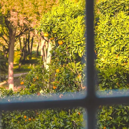 Σπίτι διακοπών Casas Do Alpendre Όμπιδος