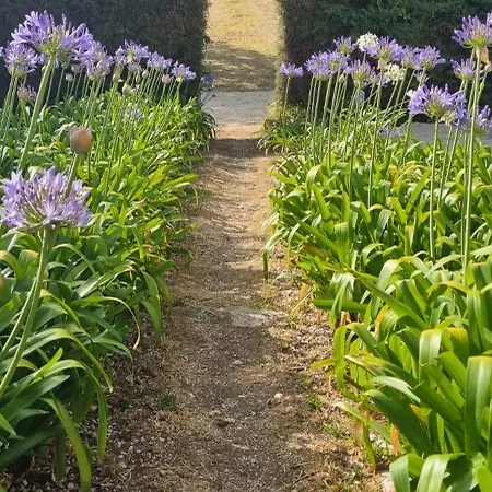 Casas Do Alpendre Όμπιδος