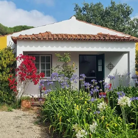 Casas Do Alpendre * Όμπιδος