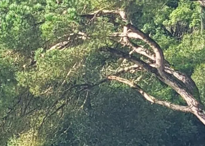 Casas Do Alpendre בית נופש *