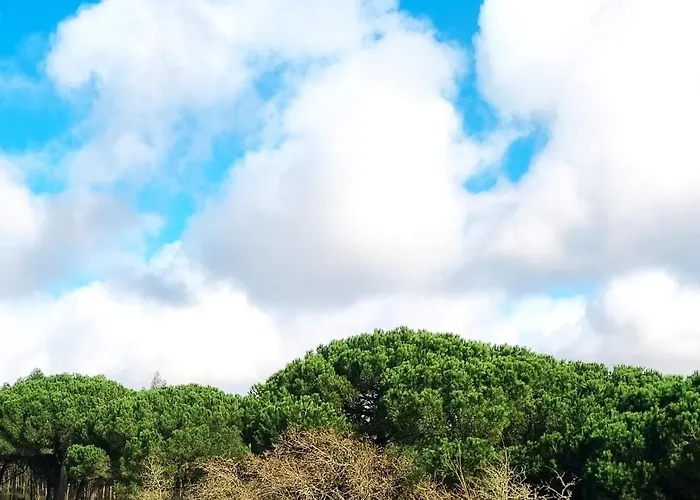 Casas Do Alpendre אובידוס