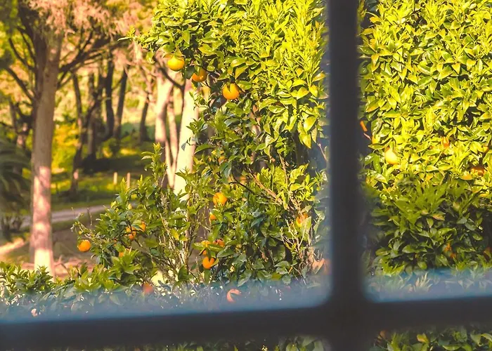 בית נופש Casas Do Alpendre אובידוס