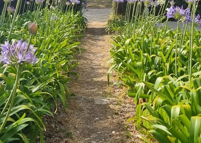 Casas Do Alpendre אובידוס